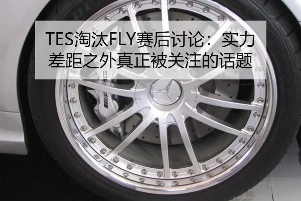 TES淘汰FLY赛后讨论：实力差距之外真正被关注的话题